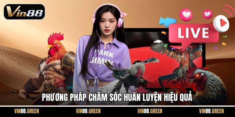 Phương pháp chăm sóc huấn luyện hiệu quả