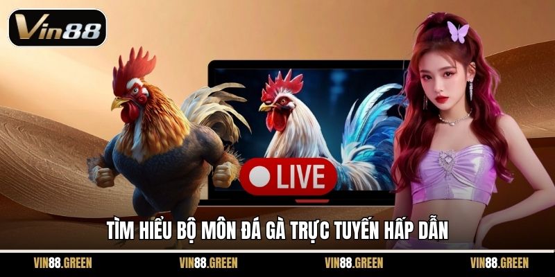 Tìm hiểu bộ môn đá gà trực tuyến hấp dẫn